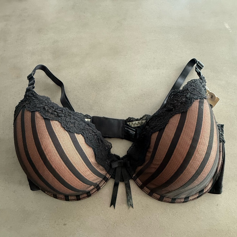 Elle MacPherson Sheer Ribbons Black Bra 36D NWT
